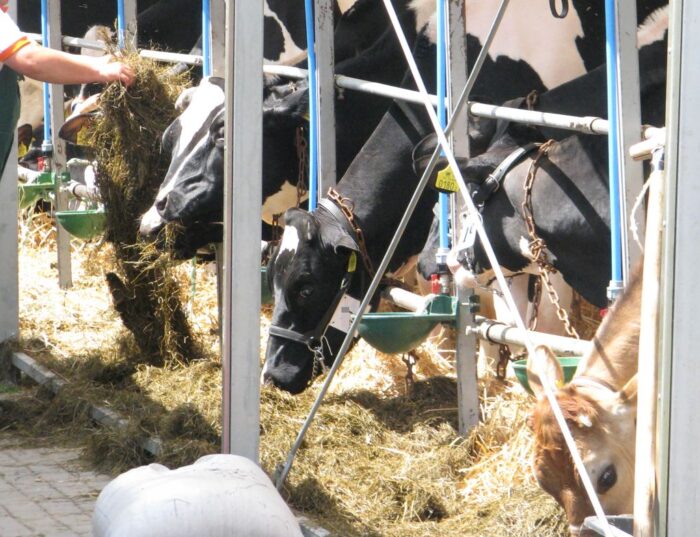 irg sgh, koniunktura w rolnictwie, nastroje u rolników, raport