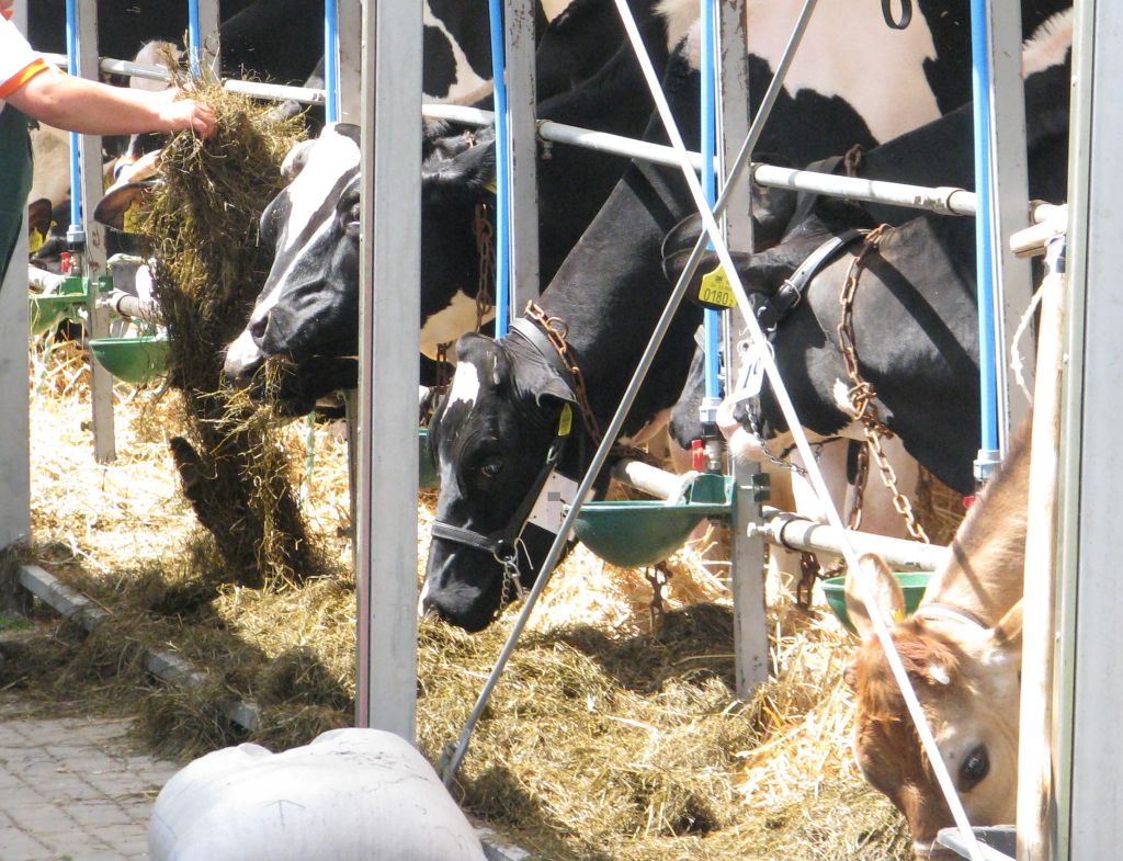 irg sgh, koniunktura w rolnictwie, nastroje u rolników, raport