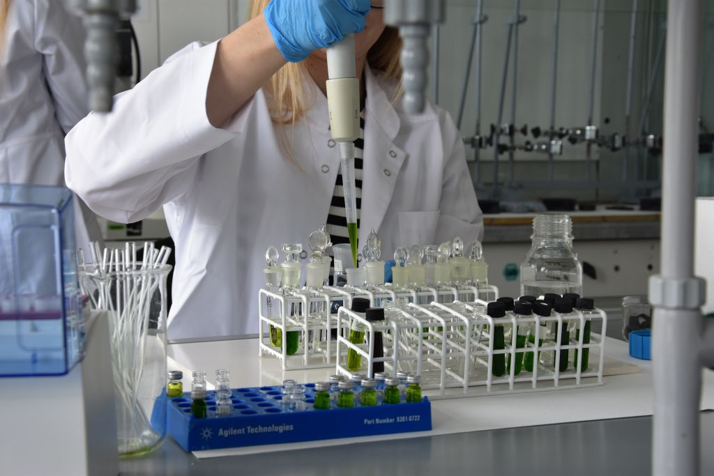 piorin, kontrole, środki ochrony roślin, pestycydy