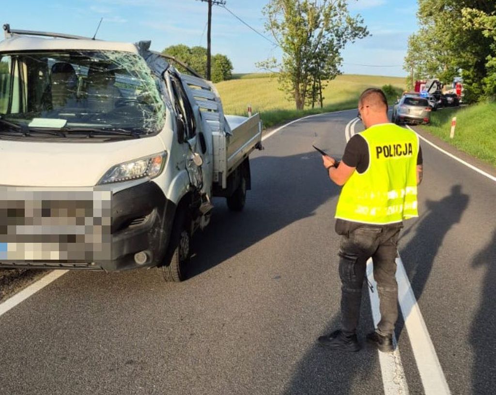 zderzenie, ciężarówka, auto, świnie