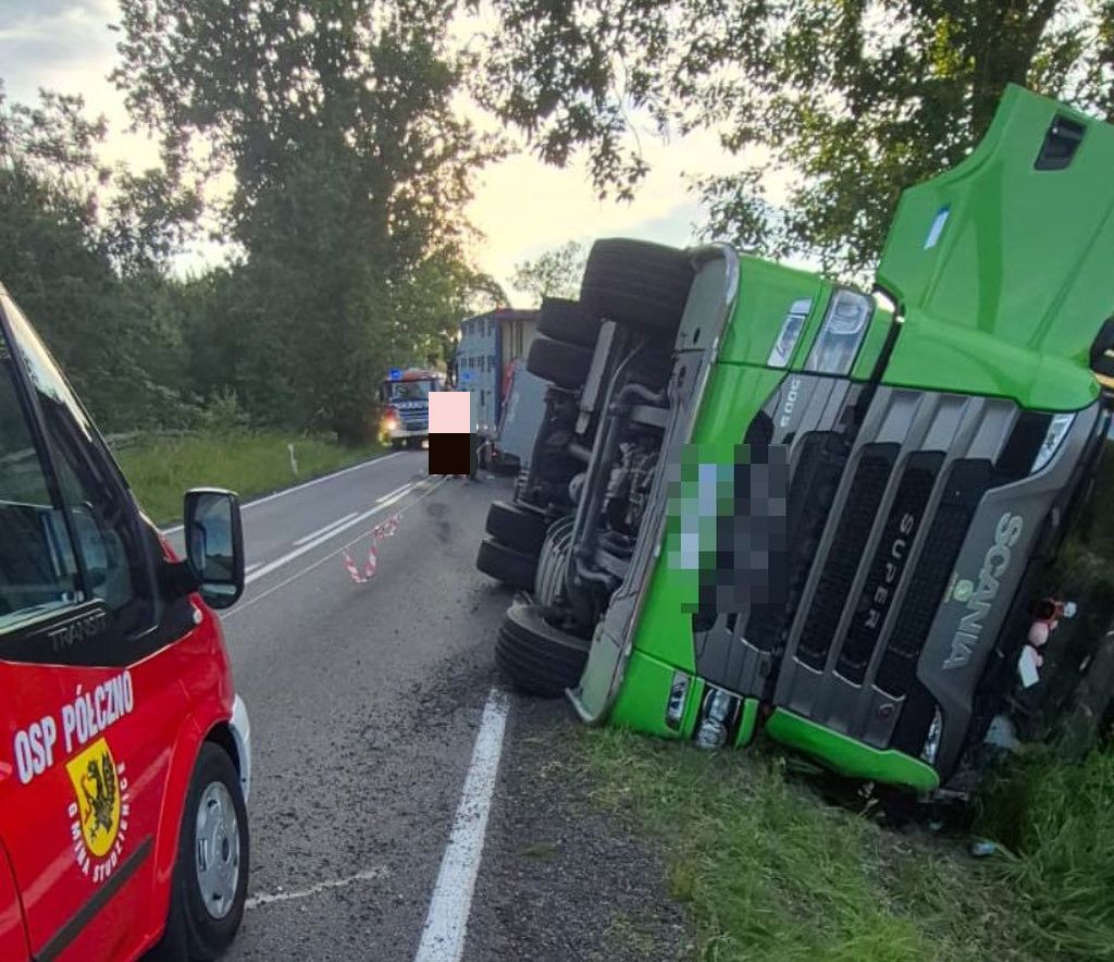 zderzenie, ciężarówka, auto, świnie