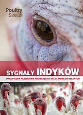 Sygnały indyków