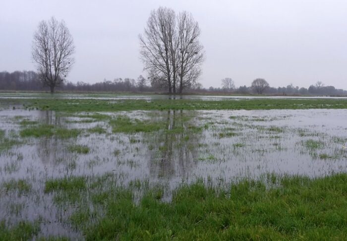 mrirw, nawadnianie tuz, retencja wody, tuz