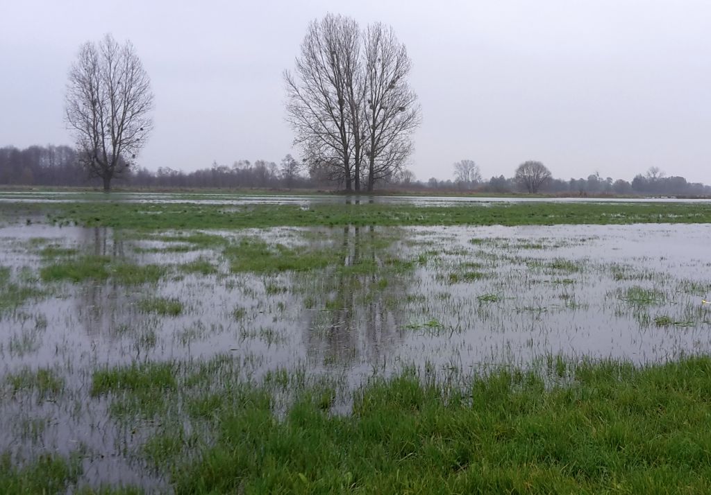 mrirw, nawadnianie tuz, retencja wody, tuz