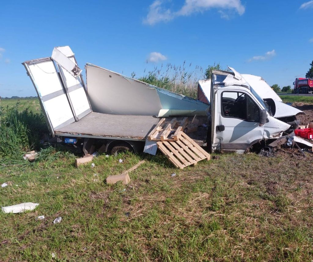 zdarzenie drogowe, auto, zaśnięcie, karma wołowa
