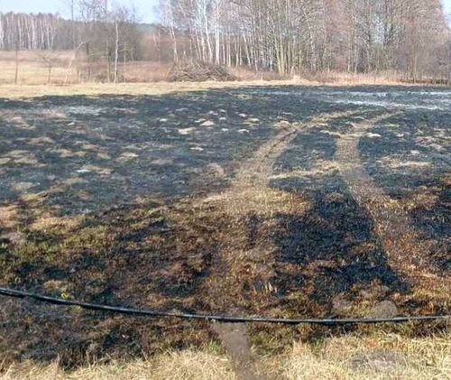 wypalanie traw, pożar traw, podpalenie, mandat
