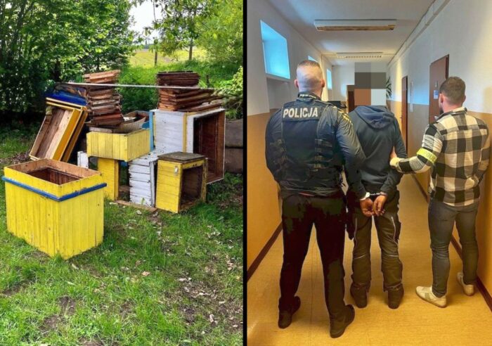 pasieka, kradzież uli, miód, rodziny pszczele