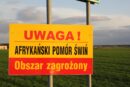 2 września rusza nabór, ASF, dopłaty ASF, inwestycje w bioasekurację, hodowcy świń, trzoda chlewna, dofinansowanie dla hodowców, ARiMR, bioasekuracjav