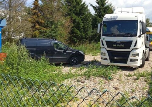 oszustwo, mięso, zarzuty, areszt