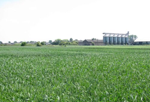 opr, ośrodki produkcji rolnej, produkcja rolna, dzierżawa ziemi