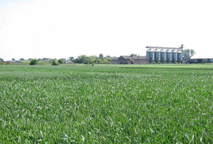 opr, ośrodki produkcji rolnej, produkcja rolna, dzierżawa ziemi