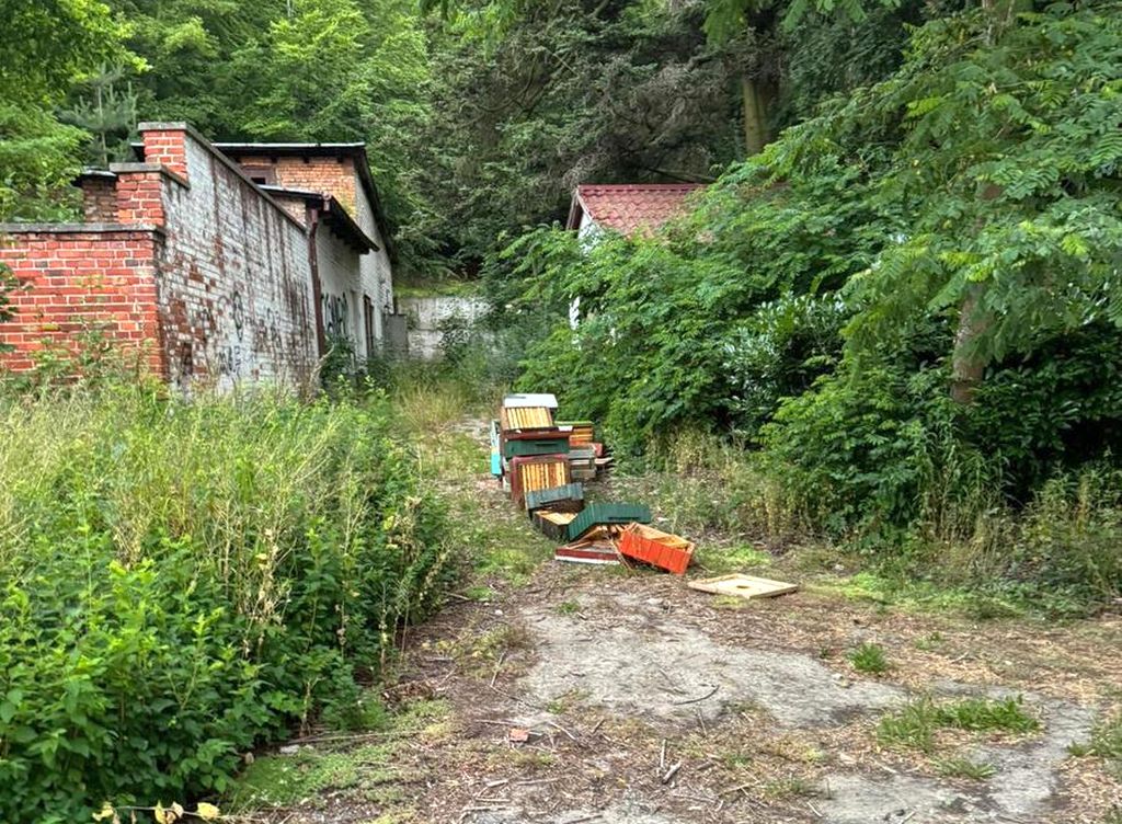 zniszczone ule, wandalizm, nastolatki, chłopcy