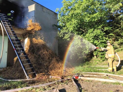 pożar, kurnik, hodowla kur, akcja gaśnicza