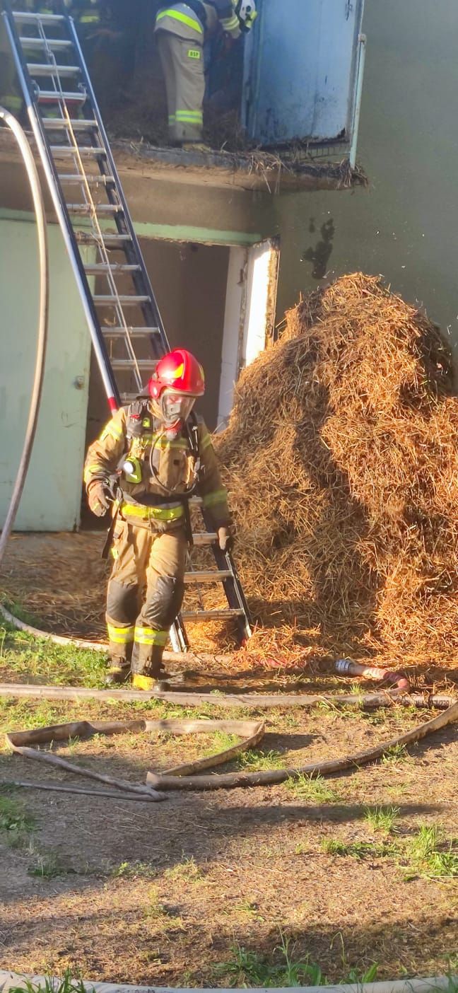 pożar, kurnik, hodowla kur, akcja gaśnicza