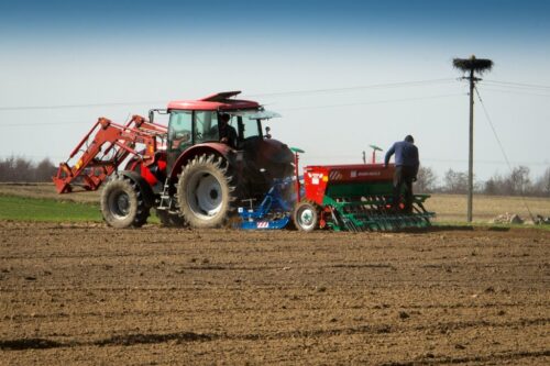 piorin, kontrole, materiał siewny, zakup nasion