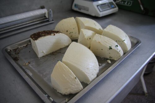 bydło mleczne, mleczarstwo, Agnieszka Maliszewska, Copa Cogeca, Komisja Europejska, USA, Donald Trump, cła eksprtowe