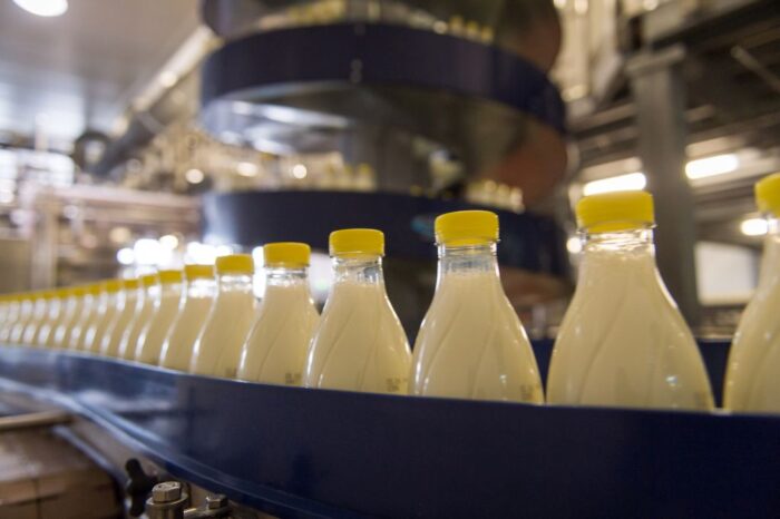 Polska Izba Mleka, mleko, produkcja mleka, mleko surowe, Zielony Ład, Międzynarodowe Forum Społeczności Mleczarskiej