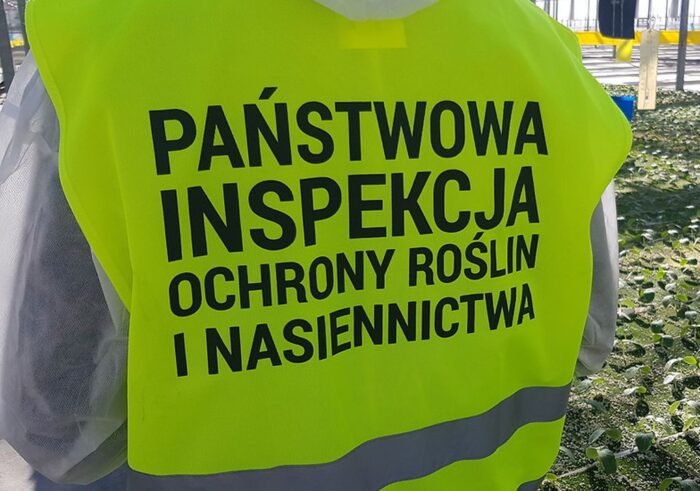 piorin, zaprawa, materiał siewny, import