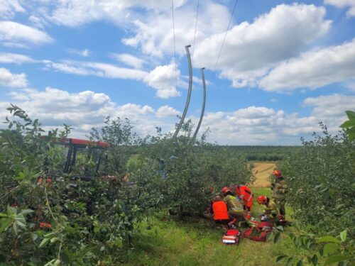 wypadek, zbiór wiśni, zbiór owoców, porażenie prądem, ranny mężczyzna