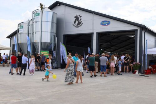 otwarcie obory wolnostanowiskowej, roboty udojowe GEA, produkcja mleka,