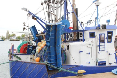 prawo, projekt ustawy, pomoc dla rybaków, wsparcie