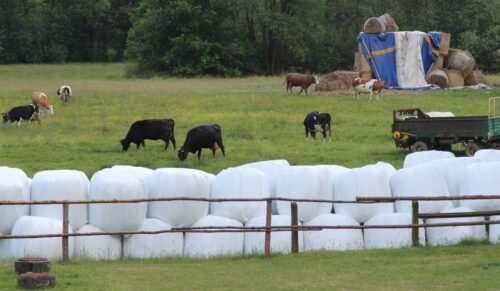 komisja rolnictwa, ardanowski, ochrona rolników, regulacje