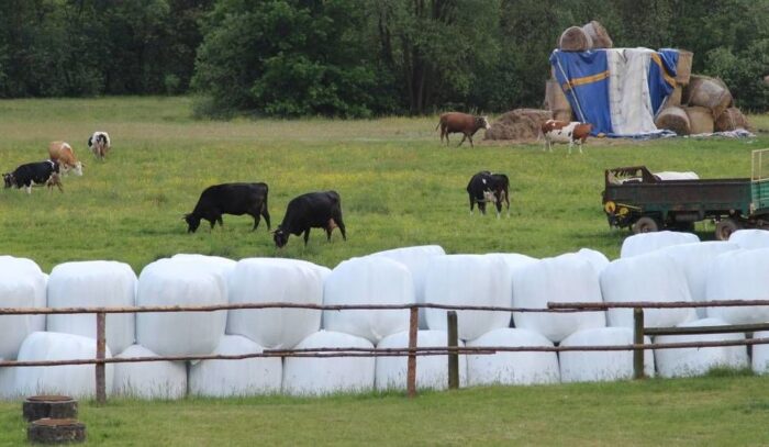 komisja rolnictwa, ardanowski, ochrona rolników, regulacje