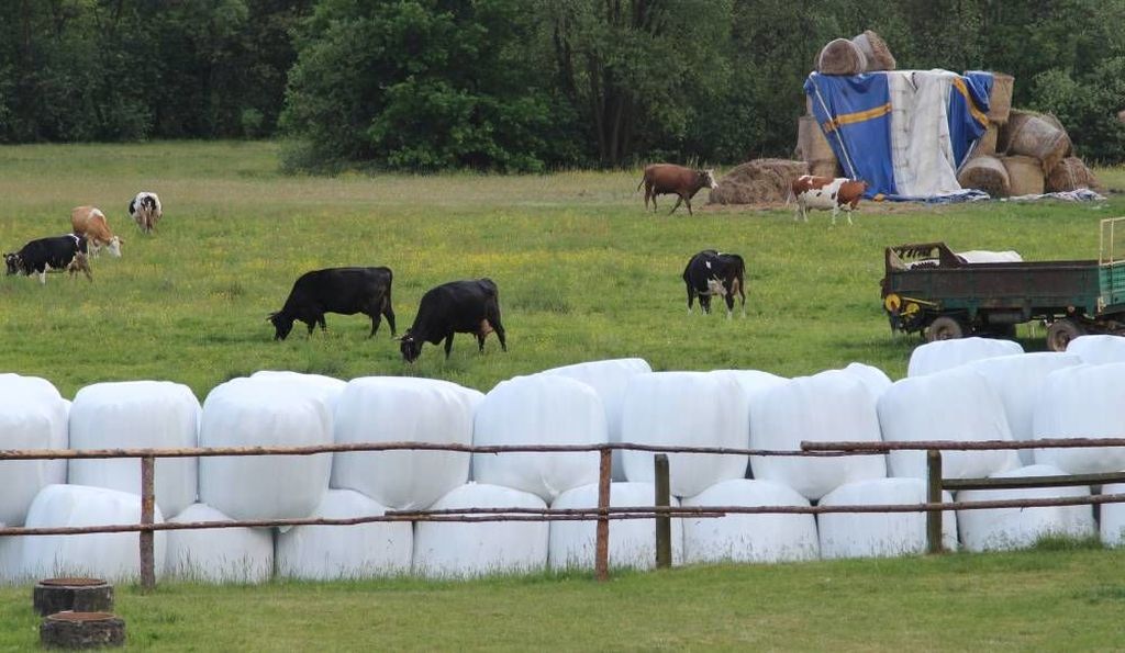 komisja rolnictwa, ardanowski, ochrona rolników, regulacje
