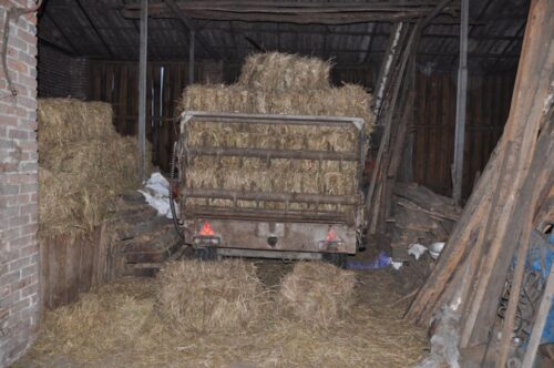 wypadek, przyczepa, upadek, ranny mężczyzna