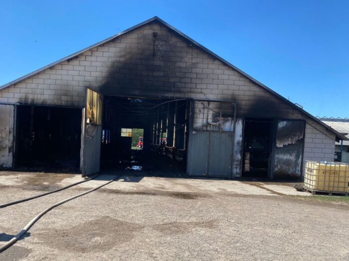 pożar, obora, krowy, straty