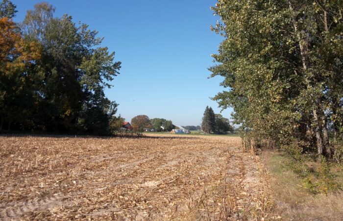 arimr, pomoc, zadrzewienia, zalesienie