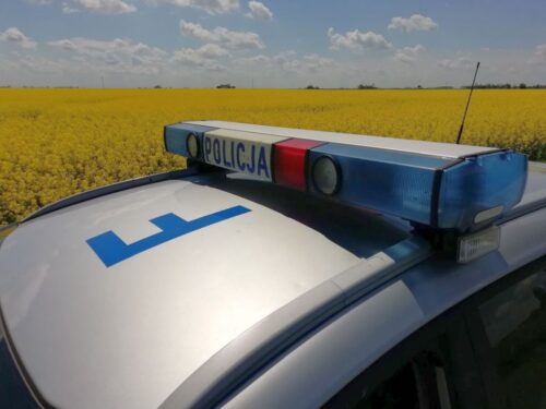 kradzież, gospodarstwo, pracownicy sezonowi, pracownik gospodarstwa