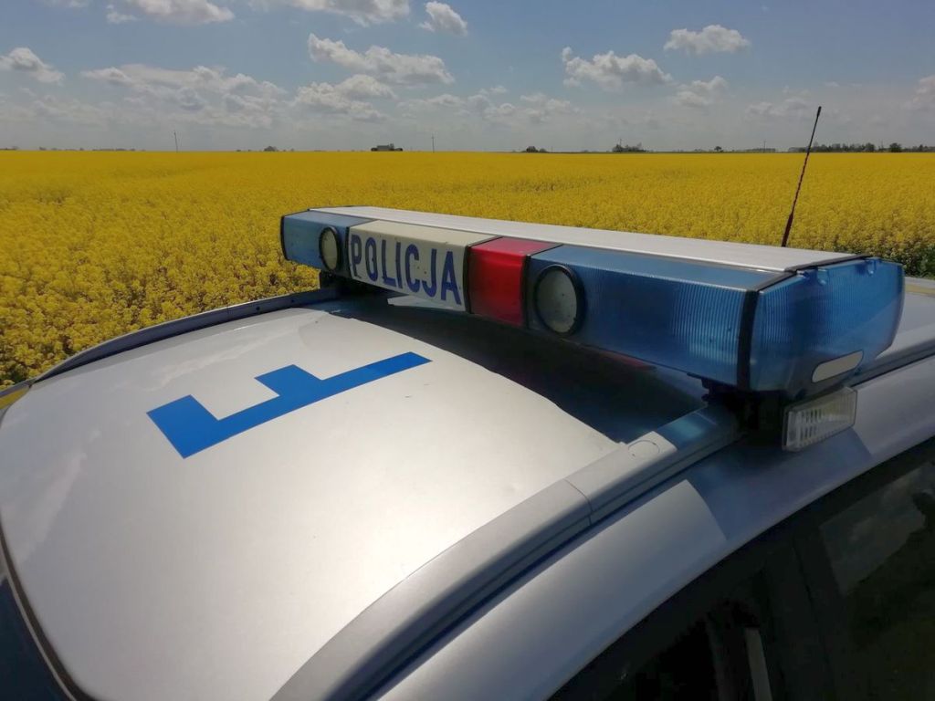 kradzież, gospodarstwo, pracownicy sezonowi, pracownik gospodarstwa