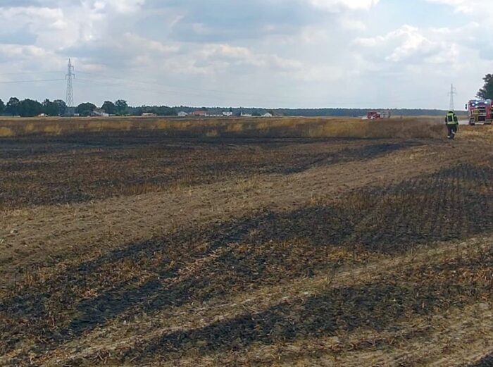 pożar, zboże, akcja gaśnicza, pożar na polu