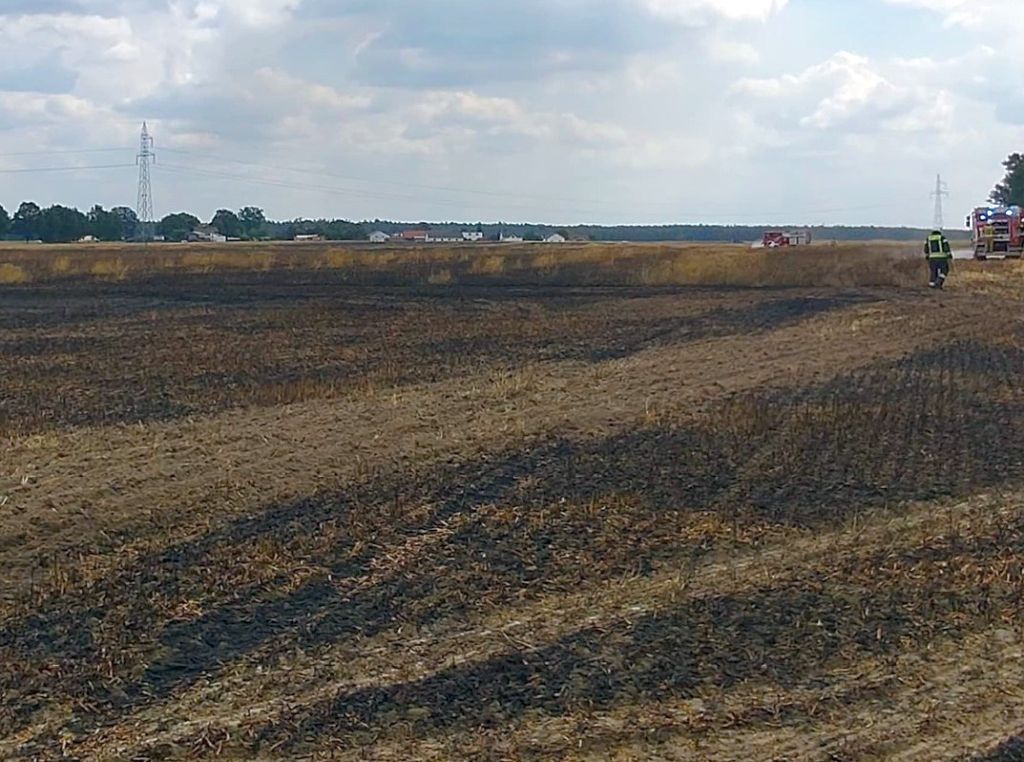 pożar, zboże, akcja gaśnicza, pożar na polu