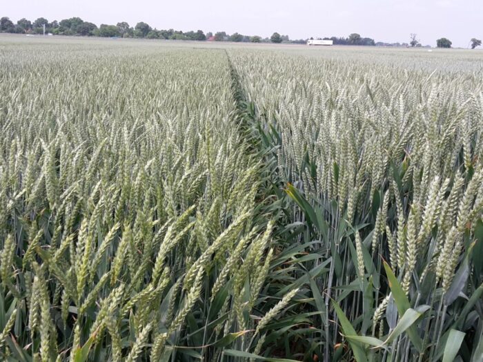 ke, ue, ukraina, umowa handlowa