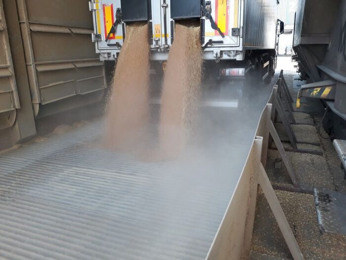 piorin, kontrole, kontrole fitosanitarne, kontrole piorin