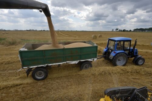 zsrir, mrirw, ceny zbóż, skup zbóż