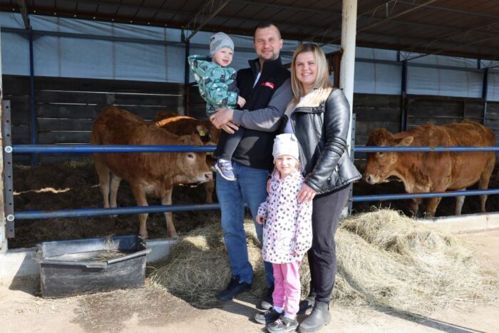 hodowla bydła limousine, dobrostan, genetyka, pastwiska,