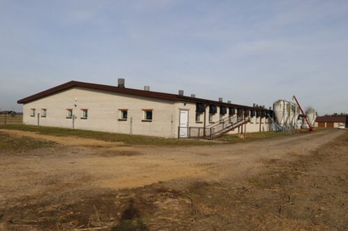 produkcja tuczników, warchlaki, cykl zamknięty, lochy, modernizacja, nowa chlewnia,