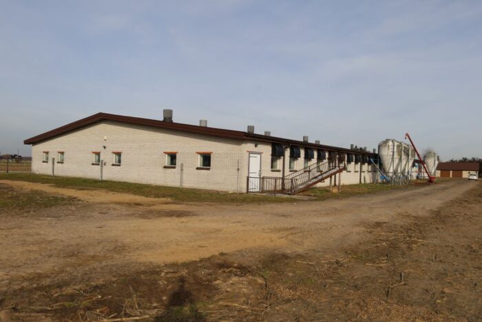 produkcja tuczników, warchlaki, cykl zamknięty, lochy, modernizacja, nowa chlewnia,