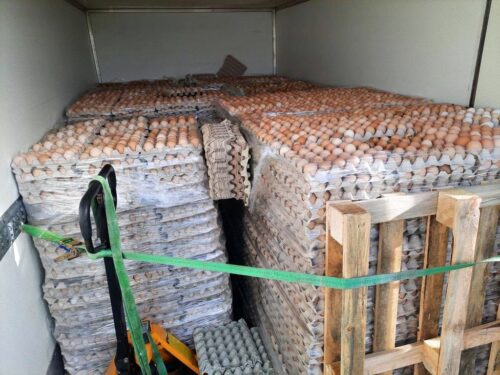 ijhars, kontrole, jaja, import