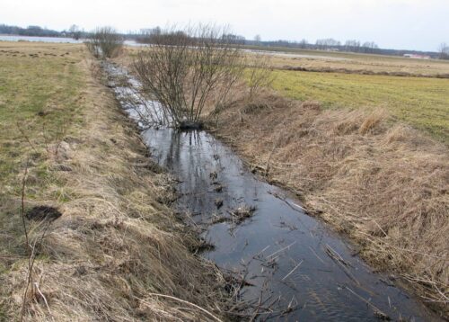 arirmr, gaec 2, grunty rolne, próbki gleby