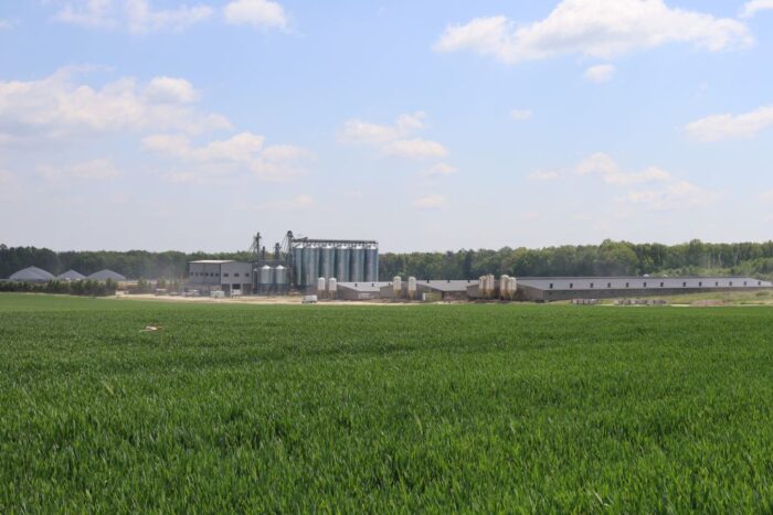 produkcja tuczników, warchlaki, cykl zamknięty, lochy, modernizacja, nowa chlewnia,