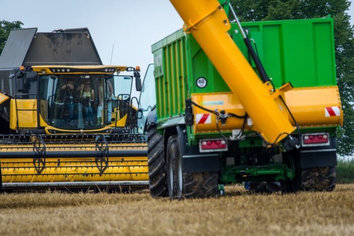 wir, raport żniwny, żniwa, zbiory zbóż