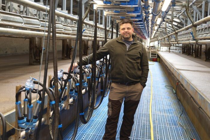 Dairymaster, hala udojowa, dój krów mlecznych, szybki dój. wydajna hala
