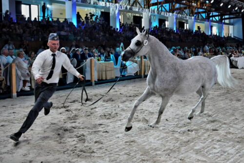 kowr, mrirw, pride of poland, aukcja