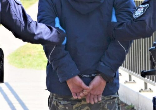 kradzież, plony, tunele foliowe, pomidory