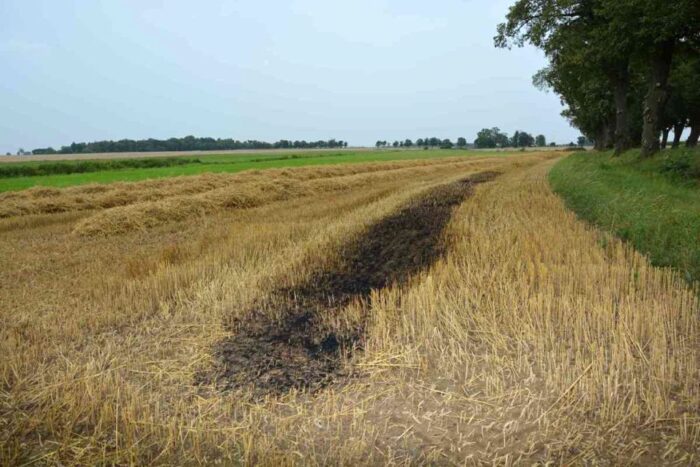 pożar, pole, zboże, ściernisko, podpalacz