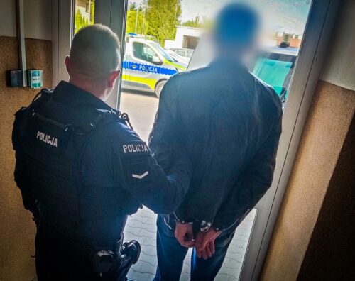 zatrzymanie, pożar, suche trawy, podpalacz